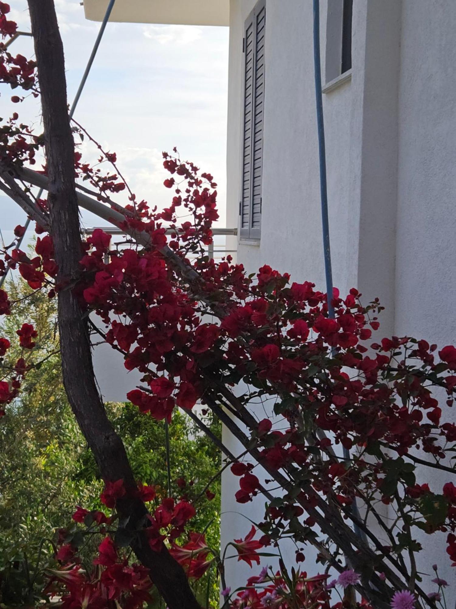 Nora'S Guesthouse Sarande Ngoại thất bức ảnh