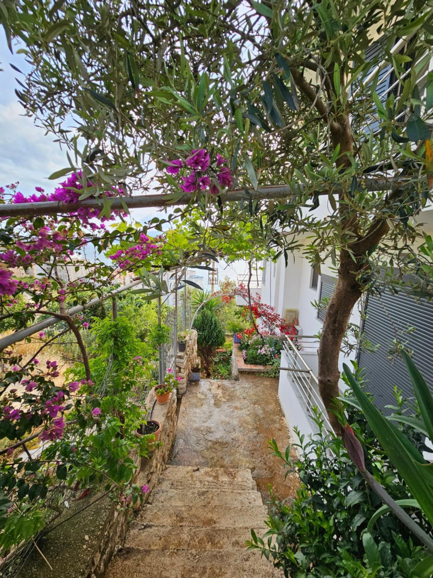 Nora'S Guesthouse Sarande Ngoại thất bức ảnh